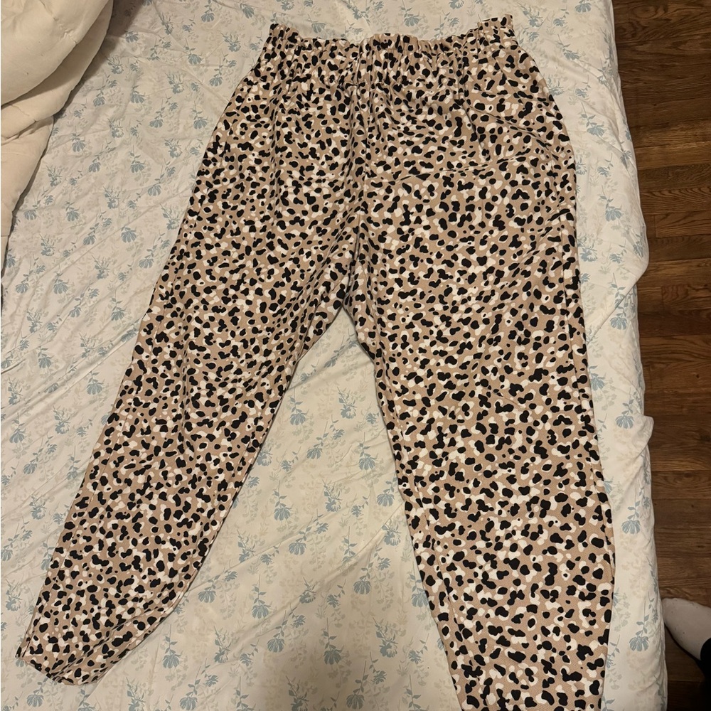 Ann Taylor pants